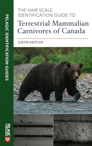 Imagen de archivo de The Hair Scale Identification Guide to Terrestrial Mammalian Carnivores of Canada (Pelagic Identification Guides) a la venta por WorldofBooks