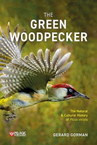Stock image for Green Woodpecker for sale by GreatBookPrices