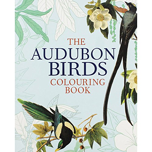 Imagen de archivo de Audubon Birds Colouring Book, the a la venta por AwesomeBooks