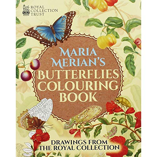 Stock image for Maria Merian's Butterflies Colouring Book for sale by WorldofBooks