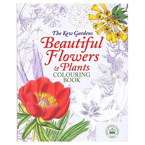 Beispielbild fr The Kew Gardens Beautiful Flowers & Plants Colouring Book zum Verkauf von WorldofBooks