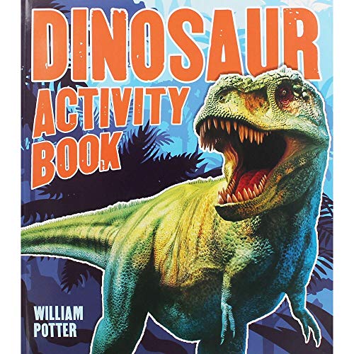 Stock image for Dinosaur Puzzles and Activities for sale by AwesomeBooks
