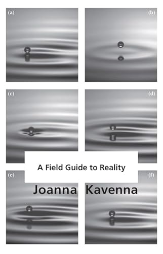 9781784292577: A Field Guide to Reality