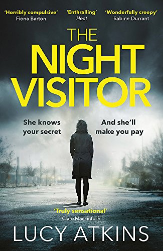 Beispielbild fr The Night Visitor: the gripping thriller from the author of Magpie Lane zum Verkauf von WorldofBooks