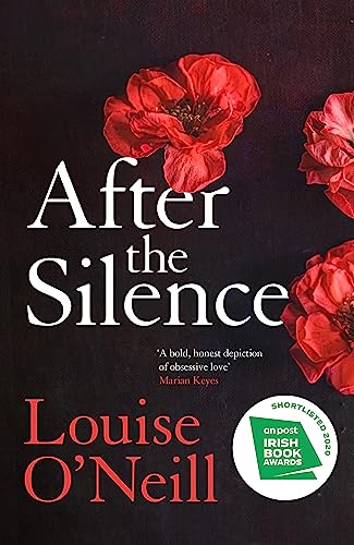 Beispielbild fr After the Silence: The An Post Irish Crime Novel of the Year zum Verkauf von WorldofBooks