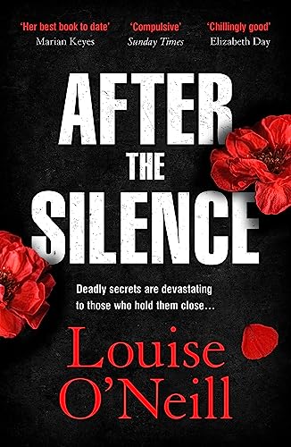 9781784298920: After the Silence: The An Post Irish Crime Novel of the Year