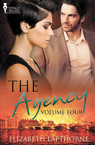 Stock image for The Agency: Volume Four for sale by Lucky's Textbooks