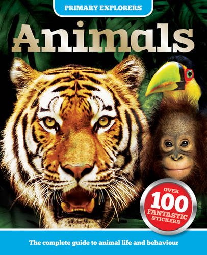 Imagen de archivo de Animals Stencil Flash Cards a la venta por AwesomeBooks