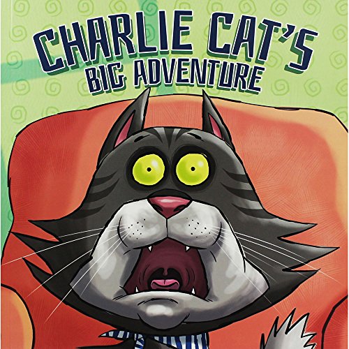 Stock image for Little Cats Big Adventure for sale by AwesomeBooks