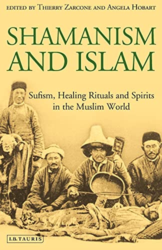 Imagen de archivo de Shamanism and Islam: Sufism, Healing Rituals and Spirits in the Muslim World a la venta por HPB-Diamond