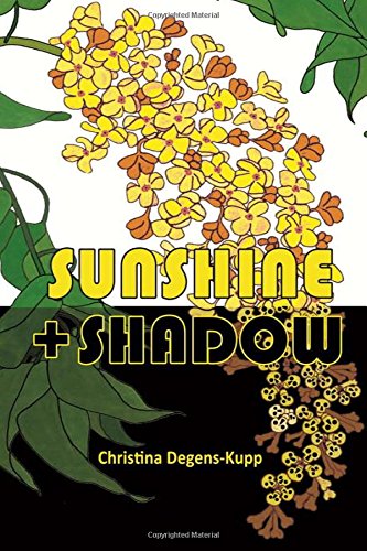 9781784561819: Sunshine and Shadow