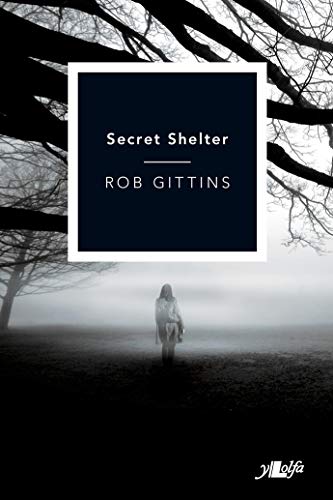 9781784610739: Secret Shelter