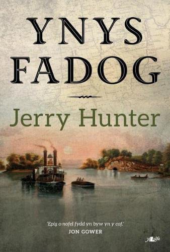 Stock image for Ynys Fadog for sale by WorldofBooks