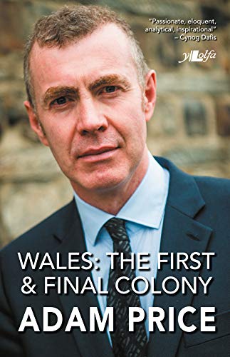 Stock image for Wales: The First and Final Colony: Speeches and Writing 2001-2018 for sale by MusicMagpie