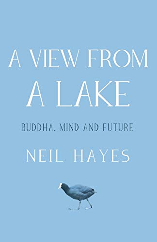 Beispielbild fr A View from a Lake: Buddha, Mind and Future zum Verkauf von WorldofBooks