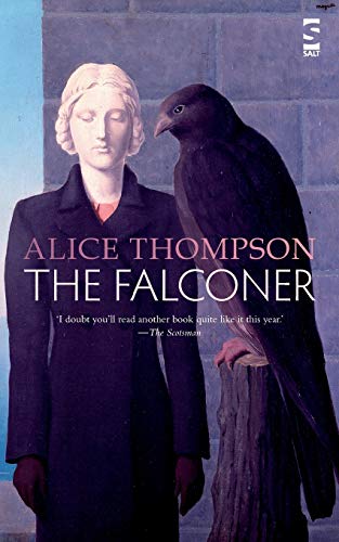 9781784630096: The Falconer (Salt Modern Fiction)