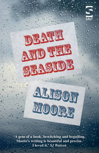 9781784630690: Death and the Seaside (Salt Modern Fiction)