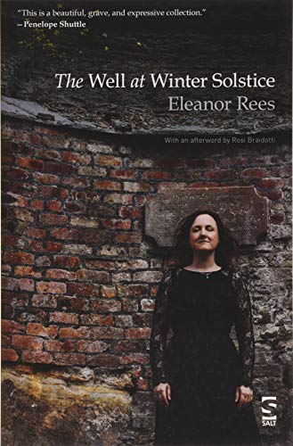 Beispielbild fr The Well at Winter Solstice (Salt Modern Poets) zum Verkauf von WorldofBooks