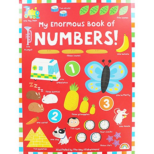 Stock image for My Enormous Books of Numbers for sale by SecondSale