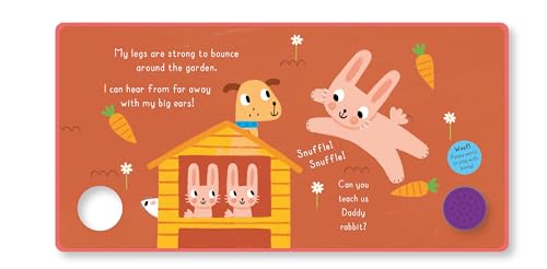 Stock image for NOISY FRIENDS PET FAMILIES for sale by PBShop.store US
