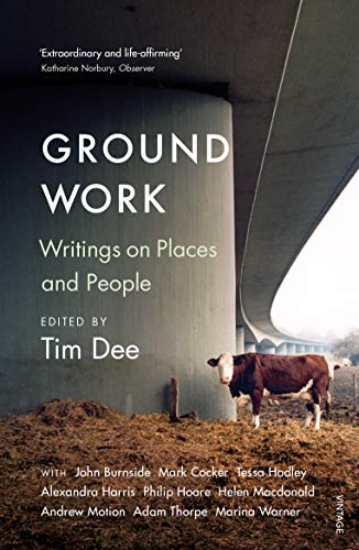 Stock image for Ground Work for sale by Books Unplugged
