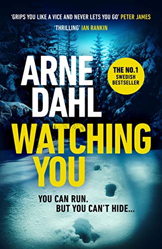 Imagen de archivo de Watching You: 'Grips you like a vice and never lets you go   Peter James (Sam Berger Series, 1) a la venta por WorldofBooks