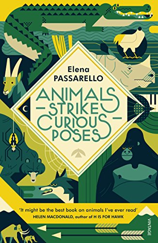 Stock image for Animals Strike Curious Poses for sale by Blackwell's