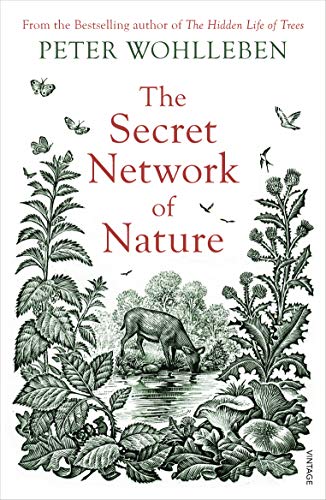 Imagen de archivo de The Secret Network of Nature a la venta por Blackwell's
