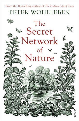 9781784708498: The Secret Network of Nature: The Delicate Balance of All Living Things