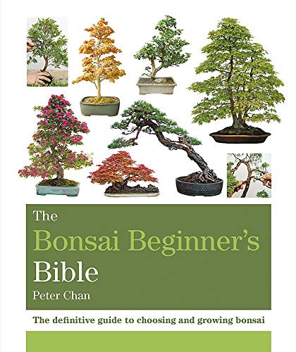 Stock image for The Bonsai Beginner's Bible: The definitive guide to choosing and growing bonsai (Octopus Bible Series) for sale by Monster Bookshop