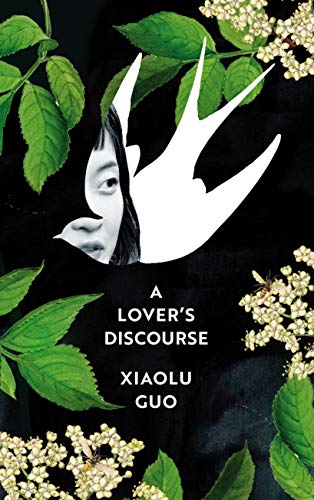 Stock image for A Lover's Discourse for sale by WorldofBooks