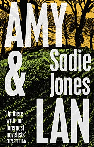 9781784744816: Amy and Lan: The enchanting new novel from the Sunday Times bestselling author of The Outcast