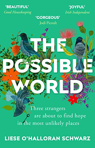 Beispielbild fr The Possible World zum Verkauf von SecondSale