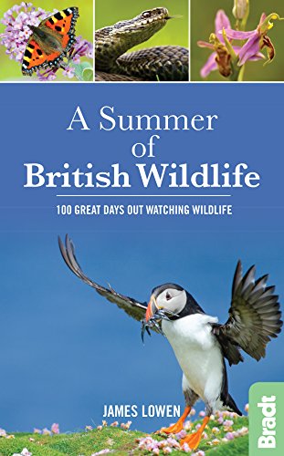 Beispielbild fr A Summer of British Wildlife: 100 great days out watching wildlife (Bradt Travel Guides (Wildlife Guides)) zum Verkauf von WorldofBooks