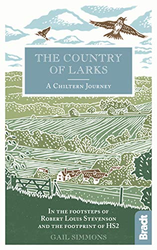 Imagen de archivo de Country of Larks: A Chiltern Journey: In the footsteps of Robert Louis Stevenson and the footprint of HS2 (Bradt Travel Guides (Travel Literature)) a la venta por WorldofBooks
