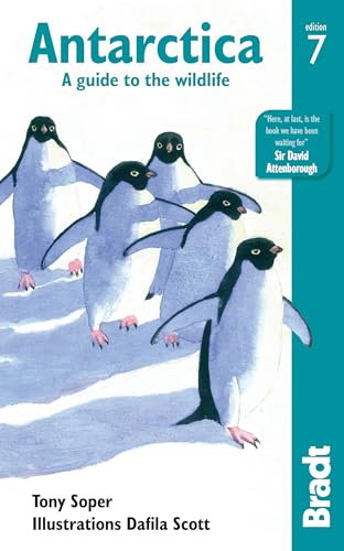 Beispielbild fr Antarctica: A Guide to the Wildlife (Bradt Travel Guides (Wildlife Guides)) zum Verkauf von WorldofBooks