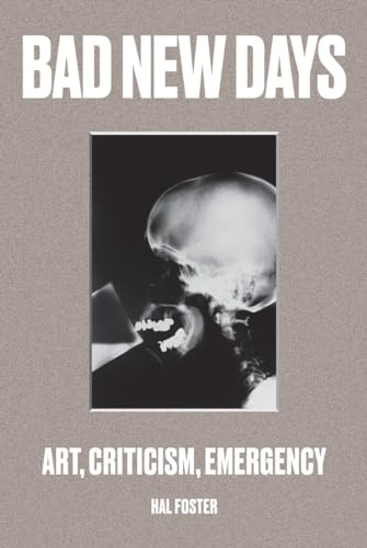 Beispielbild fr Bad New Days : Art, Criticism, Emergency zum Verkauf von Better World Books