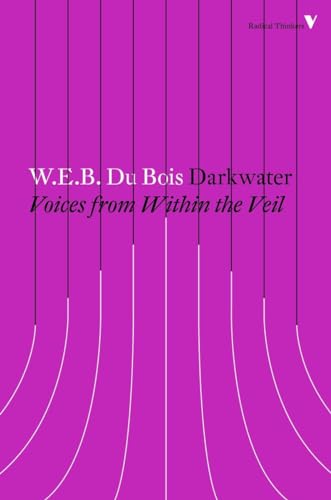 9781784787752: Darkwater: Voices from Within the Veil (Radical Thinkers)