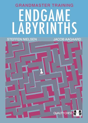 Stock image for Endgame Labyrinths for sale by GreatBookPrices