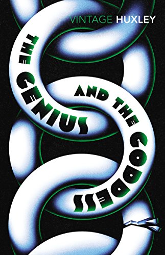 Imagen de archivo de The Genius and the Goddess a la venta por AwesomeBooks