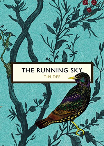 Stock image for The Running Sky (The Birds and the Bees): A Bird-Watching Life (Vintage Classic Birds and Bees Series) for sale by Goldstone Books