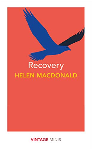 Stock image for Recovery for sale by Blackwell's