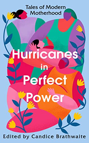 Imagen de archivo de Hurricanes in Perfect Power: Tales of Modern Motherhood a la venta por Chiron Media