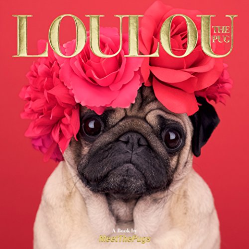 Stock image for Loulou the Pug: A Book by MeetThePugs for sale by Goodwill of Colorado