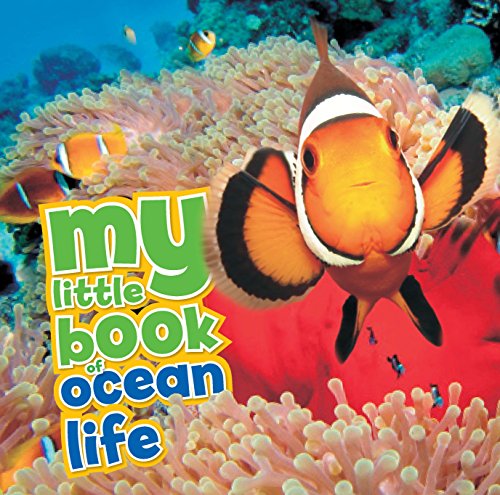 Stock image for My Little Book of Ocean Life for sale by Valley Books