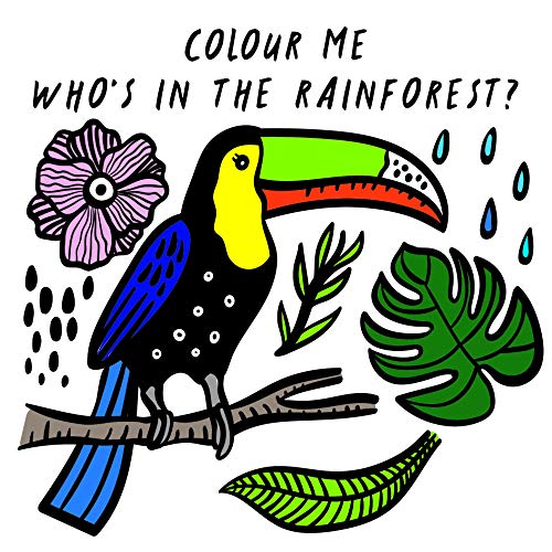 9781784930950: Colour Me: Who’s in the Rainforest?: Watch Me Change Colour In Water: 3 (Wee Gallery Bath Books)