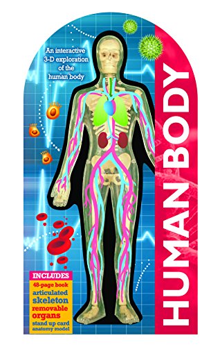 Beispielbild fr See Inside: The Human Body zum Verkauf von WorldofBooks