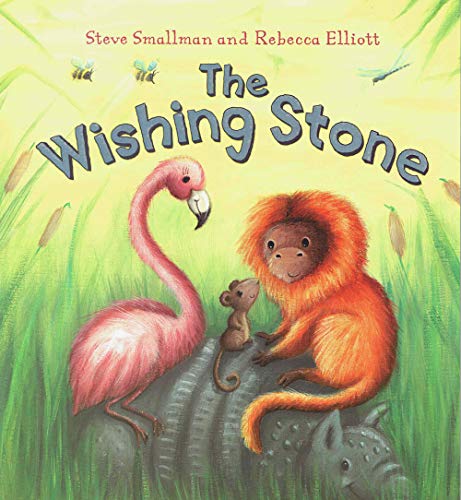 Stock image for The Wishing Stone for sale by Reuseabook