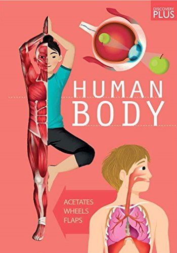 9781784938321: Discovery Plus: Human Body