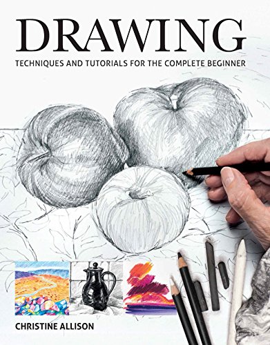 Stock image for Drawings: Techniques and Tutorials for the Complete Beginner for sale by WorldofBooks